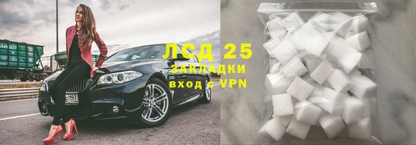 ГАЛЛЮЦИНОГЕННЫЕ ГРИБЫ Гусев