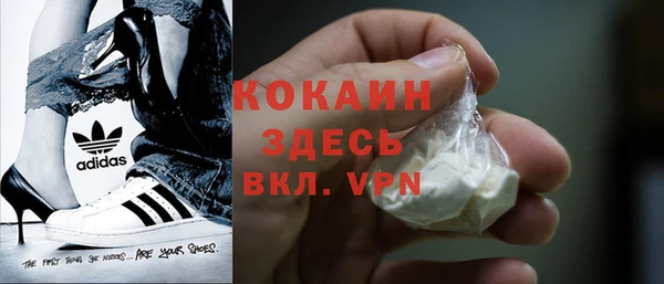 ГАЛЛЮЦИНОГЕННЫЕ ГРИБЫ Гусев