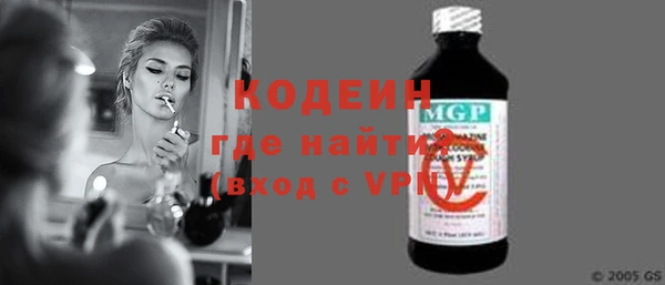 ГАЛЛЮЦИНОГЕННЫЕ ГРИБЫ Гусев