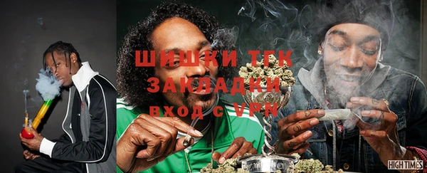 ГАЛЛЮЦИНОГЕННЫЕ ГРИБЫ Гусев