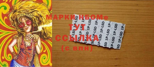 ГАЛЛЮЦИНОГЕННЫЕ ГРИБЫ Гусев
