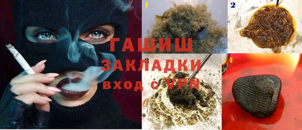 ГАЛЛЮЦИНОГЕННЫЕ ГРИБЫ Гусев