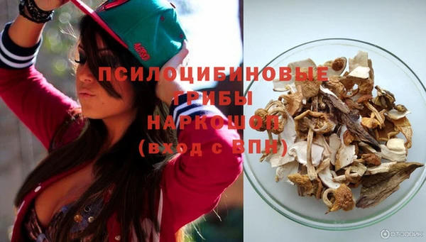ГАЛЛЮЦИНОГЕННЫЕ ГРИБЫ Гусев