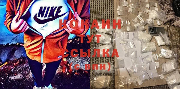 ГАЛЛЮЦИНОГЕННЫЕ ГРИБЫ Гусев