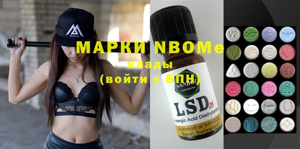 ГАЛЛЮЦИНОГЕННЫЕ ГРИБЫ Гусев