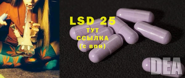 ГАЛЛЮЦИНОГЕННЫЕ ГРИБЫ Гусев