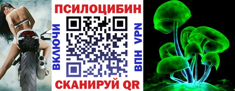 где купить наркотик  Элиста  Псилоцибиновые грибы MAGIC MUSHROOMS 